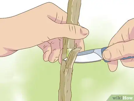 Image titled Harvest Kudzu Step 9