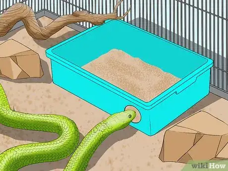 Image titled Help a Shedding Pet Reptile Step 8