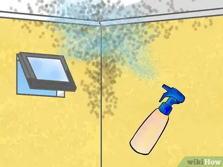 Image titled Remove Mildew from Sheetrock Step 5
