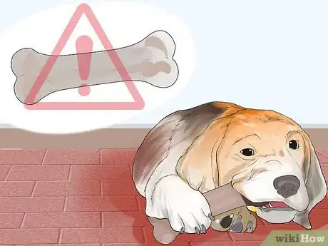 Image titled Avoid Foods Dangerous for Your Dog Step 13