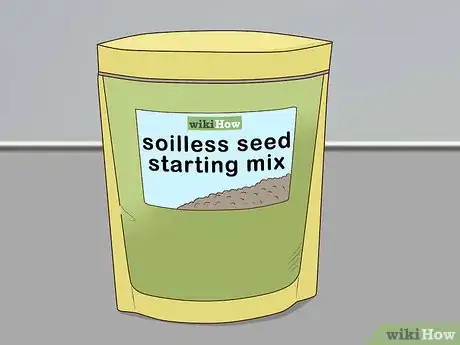 Image titled Plant Angel Trumpet Seeds Step 7