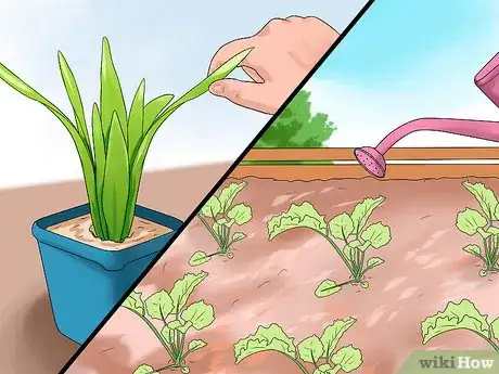 Image titled Water Plants While You're Away Step 26