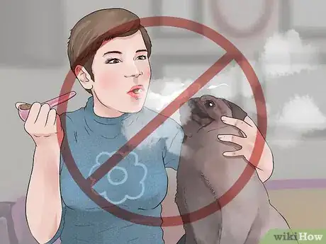 Image titled Prevent Marijuana Poisoning in Dogs and Cats Step 4