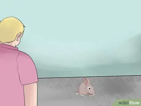 Image titled Prevent Poisoning in Pet Rabbits Step 6