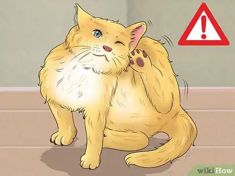 Image titled Deal with Cat Food Allergies Step 1