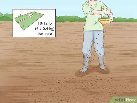 Image titled Grow Red Clover Step 5