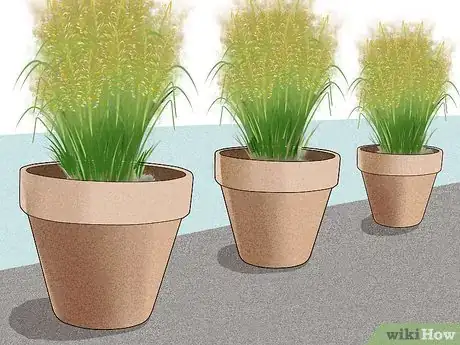 Image titled Plant Switchgrass Step 5