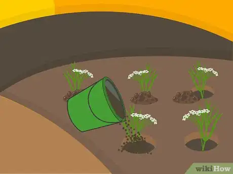 Image titled Grow Cumin Step 17