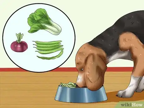 Image titled Prepare a Healthy Meal for Your Pet Dog Step 6