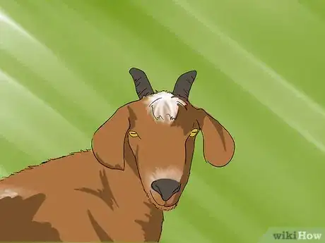 Image titled Harvest Cashmere Step 1