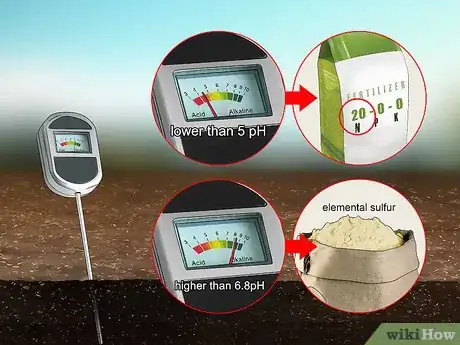 Image titled Grow Endive Step 4