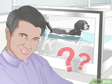 Image titled Rehabilitate Orthopedic Injuries in Dogs Step 10