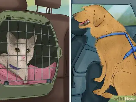 Image titled Take Pets on Beach Vacations Step 4