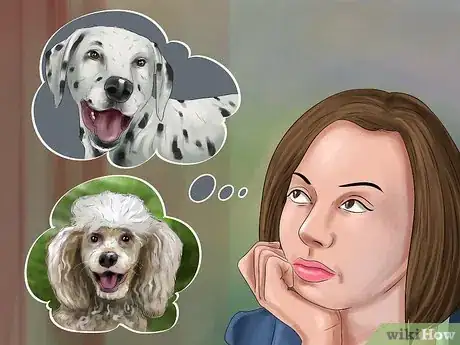 Image titled Adopt a Non‐Sporting Breed Step 4