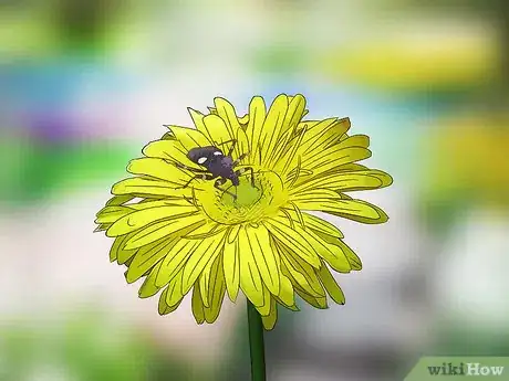 Image titled Attract Assassin Bugs Step 6