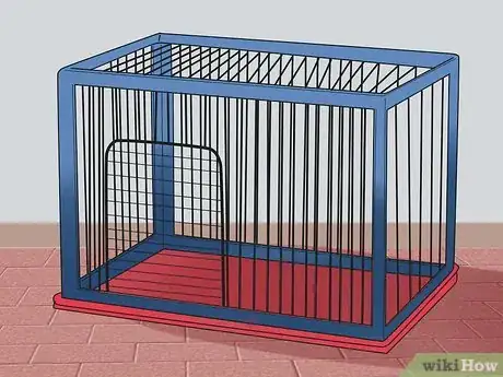 Image titled Care for African Pygmy Hedgehogs Step 1