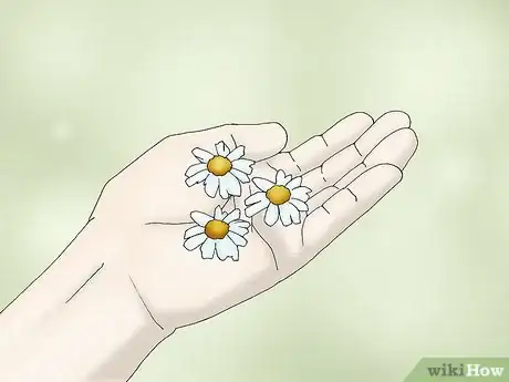 Image titled Make Pyrethrum Garden Spray Step 1