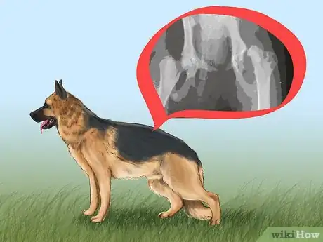 Image titled Buy a Personal Protection Dog Step 11