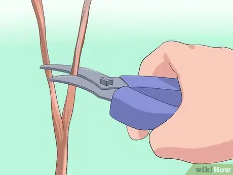 Image titled Prune Burning Bush Step 2