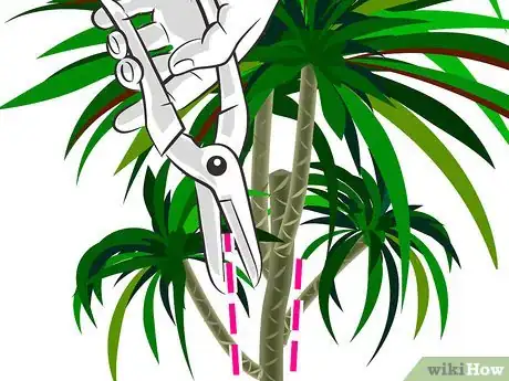 Image titled Prune Dracaena Step 07