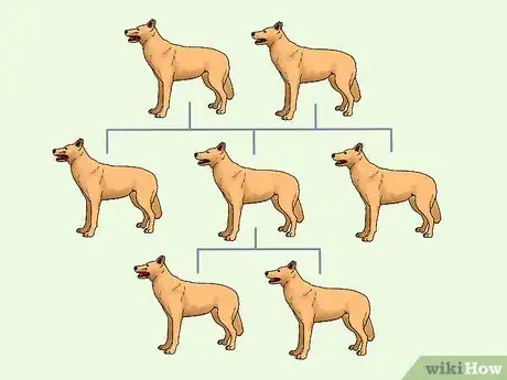 Image titled Treat Zinc Deficiency in Dogs Step 10