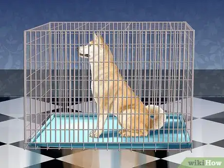 Image titled Housebreak a Dog Using a Crate Step 8
