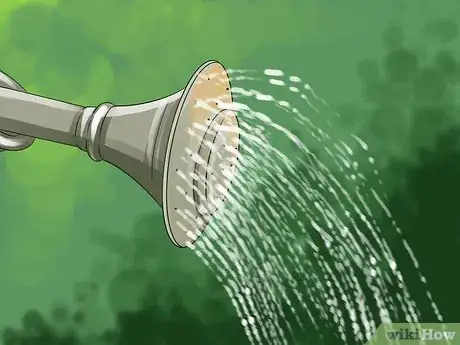 Image titled Grow Ivy Step 8