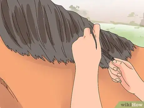 Image titled Pull a Horse's Mane Step 2
