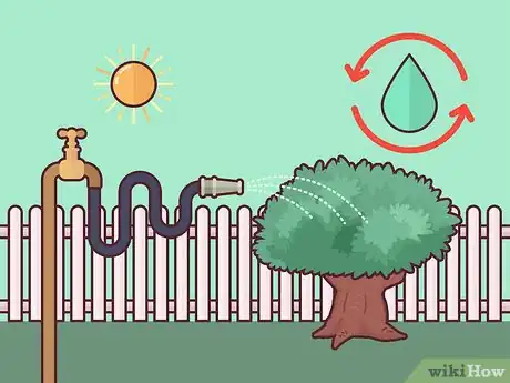 Image titled Save a Dying Rose Bush Step 12