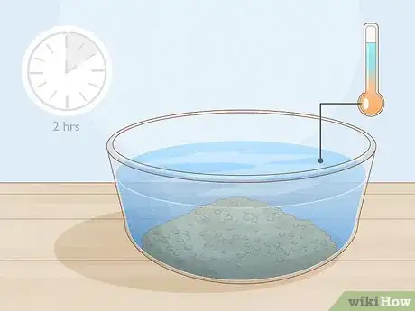 Image titled Grow Licorice Root Step 2