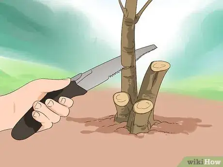 Image titled Prune Honeysuckle Step 11