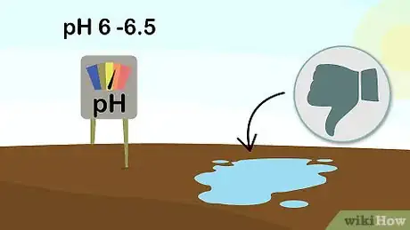 Image titled Plant Sedum Step 2