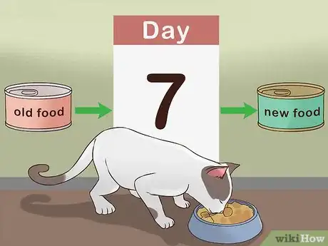 Image titled Change Cat Food Step 3