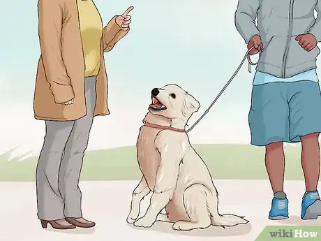 Image titled Adopt a Dog from a Humane Society or Animal Shelter Step 5