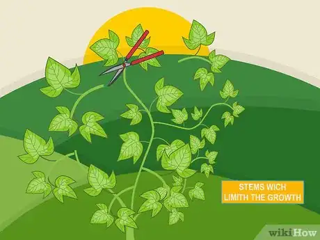 Image titled Prune Organic Plants Step 09