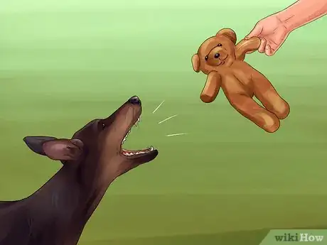 Image titled Train a Manchester Terrier Step 10