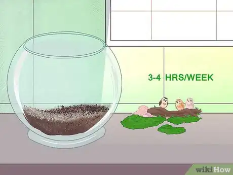 Image titled Make Moss Terrariums Step 20