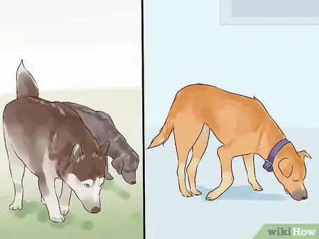 Image titled Responsibly Give a Dog As a Gift Step 14