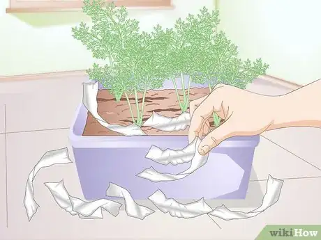Image titled Stop Cats from Eating Indoor Plants Step 4