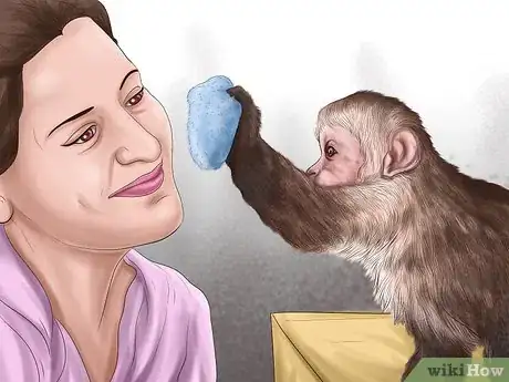 Image titled Quiet a Capuchin Monkey Step 11