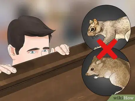 Image titled Fumigate for Fleas Step 1