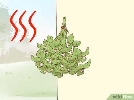 Image titled Harvest Chickweed Step 11