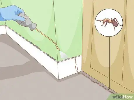 Image titled Use Diatomaceous Earth for Pest Control Step 8