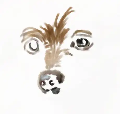 Image titled Zooming in for the details.png