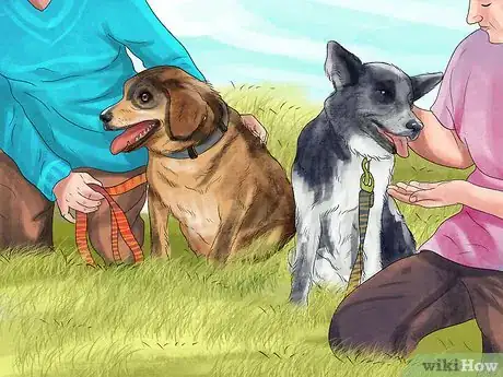 Image titled Make Your Dog Get Along With Other Dogs Step 6