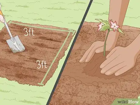 Image titled Create a Bee Friendly Garden Step 1