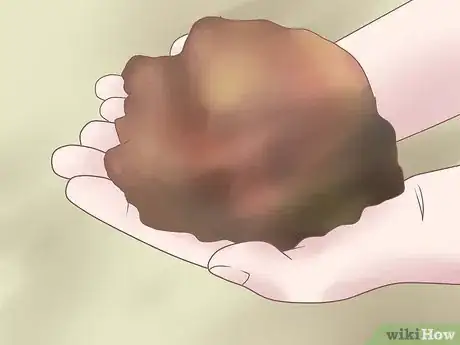 Image titled Grow Ferns Step 12