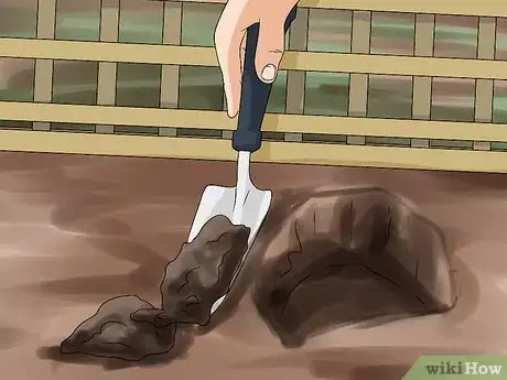 Image titled Grow a Choko Vine Step 4