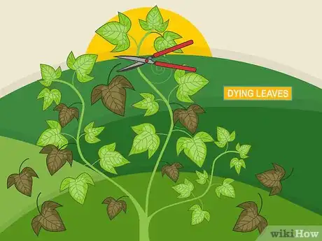 Image titled Prune Organic Plants Step 07