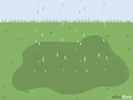 Image titled Bring Back Dead Grass Step 16